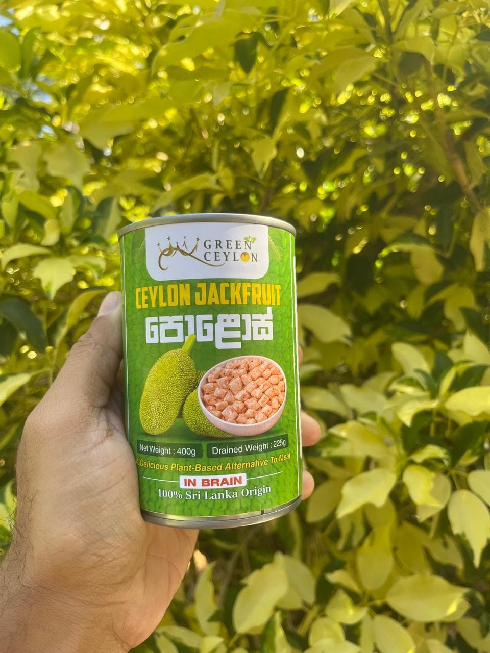 Why Our Jackfruit in Brine Is the Best Choice for Global Kitchens